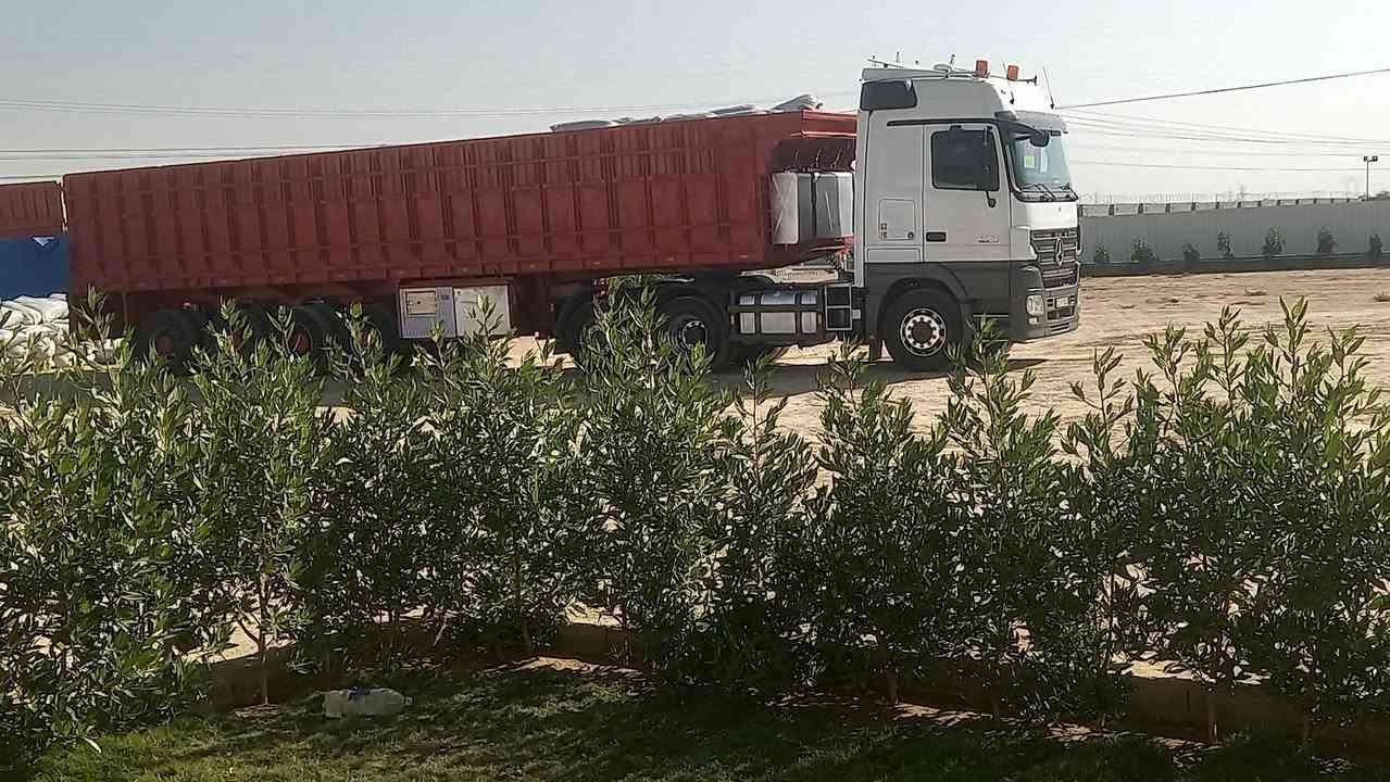 العربانه البيع شاصي ١٦
***********
