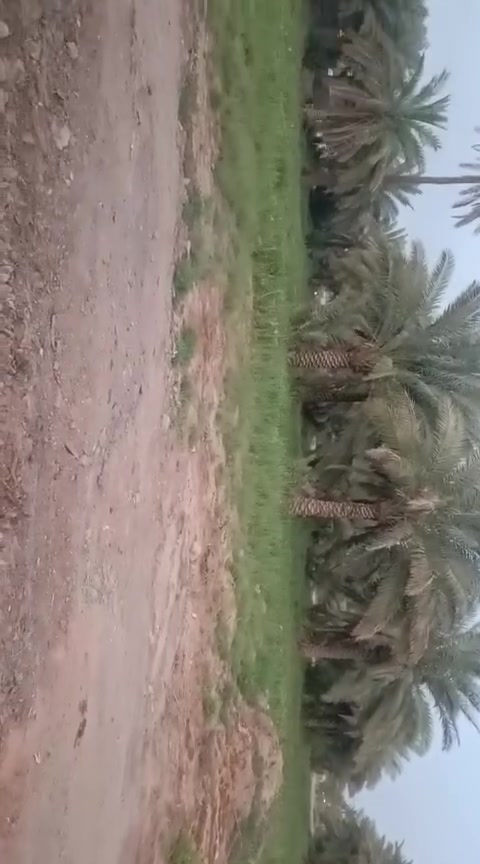 سلام عليكم قطعة للبيع مساحه 200م سند 25 باسم المشتري مكانه كربلاء الجدول الغربي الرجيبة للاستفسار ***********
سلام عليكم قطعة للبيع مساحه 200م سند 25 باسم المشتري مكانه كربلاء الجدول الغربي الرجيبة للاستفسار ***********
