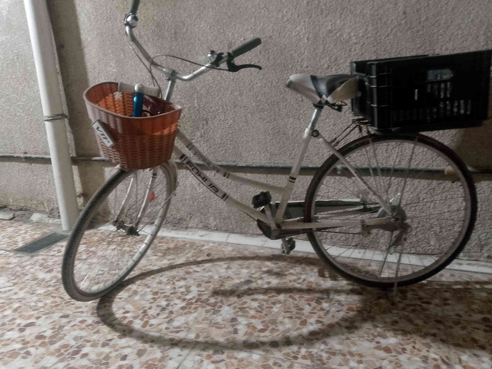 مكاني بغداد الدورة الصحة شارع الزيتون 
الرقم ***********
البايسكل الابيض ب50 الف
البايسكل الثاني ب65 الف 
نظيفات وكبل تطلع بيهن
