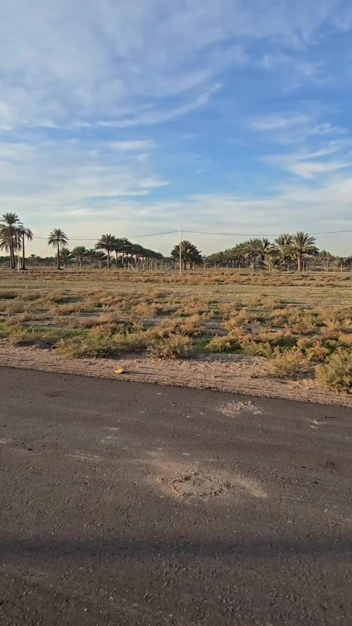 1000 م  للبيع 

طابو زراعي سند 25 

حله/قرب العلويه شريفه ع 

***********
***********
