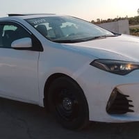 كورلا وارد امريكي • ٢٠١٩ • دجيل