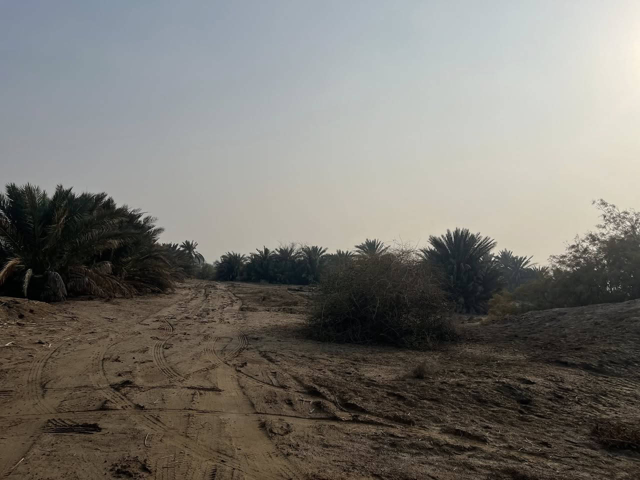 سلام عليكم عقد زراعي للبيع جديد 22 دونم 
طريق حله نجف خلف مجمع السعبري قرب جامعة الحله سعر الدونم 11 
استفسار  ***********
