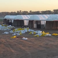 🔥 نجاح حقل الدواجن يبدأ من الجادر الصح! السلام عليكم يا أصحاب الحقول —...