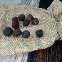 هبهاب جبال ربيعة • احجام صغيرة • مراوس خواتم سليماني/عطف