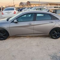 07810999569