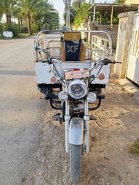 ستوته ام الطير • موديل ٢٠ • مكفولات