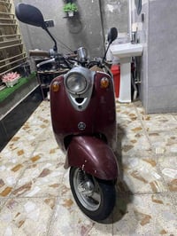 دراجة عبد حليم • شغالة • شعب شارع الصحه