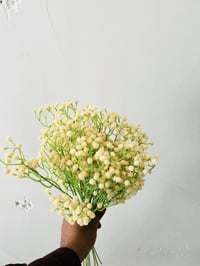 متوفر الآن • ديكور • حديقة