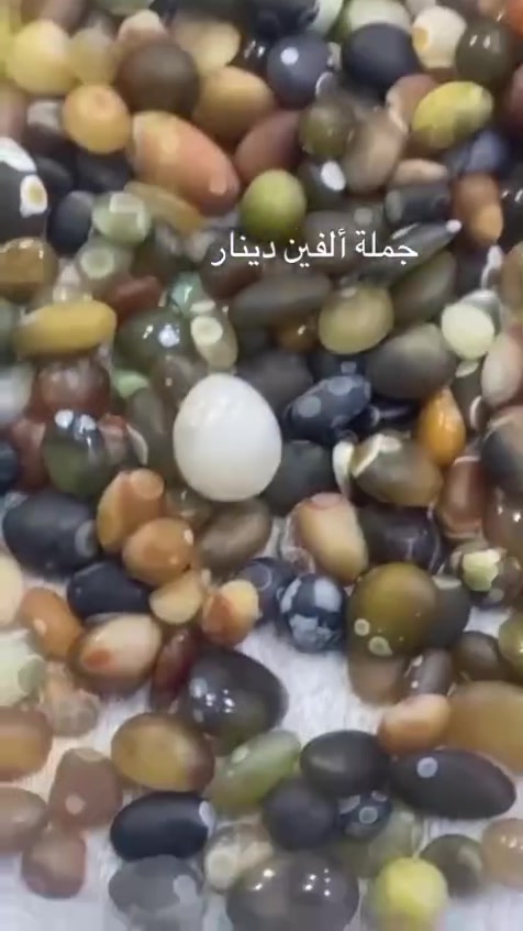 جمل سليماني خام عيون بالفين القطعه الحجز 10 قطع ما فوق  داودي على الف القطعه 15 قطع ما فوق الحجز خاص الكميه قليله


**إذا كنت صاحب هذا الإعلان وتريد حذفه لأي سبب، رجاءا أرسل رسالة إلى الدعم الفني**