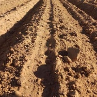 عمال سماد • عمال ترميل • عامل زراعة • وظائف خان النص • عمل يدوي • وظائ...