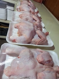 دجاج • تنظيف وتقطيع مجاني • مقابل مدرسه حلب