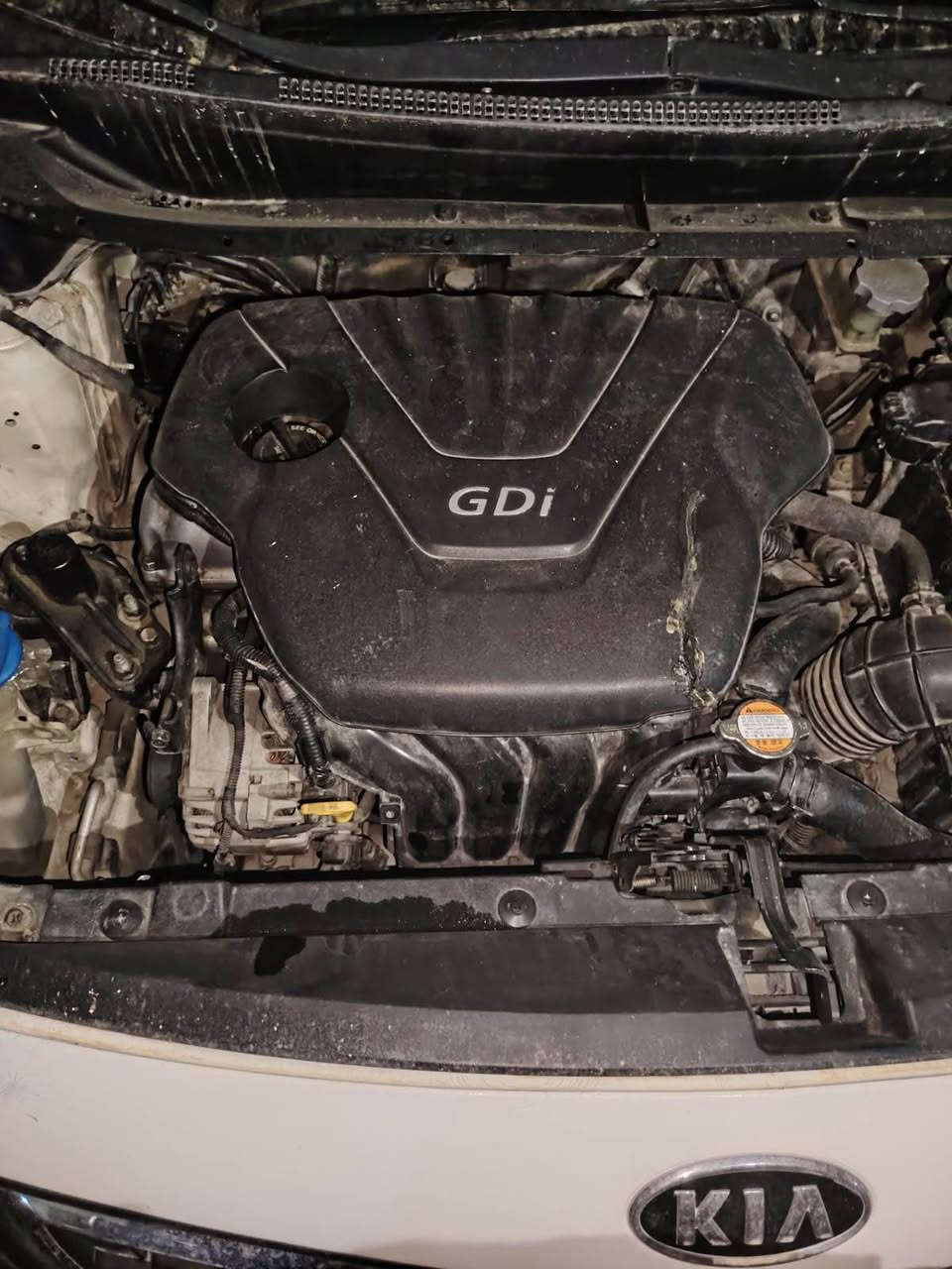 السلام عليكم ورحمة الله

من رخصت الادمن كيه ريو موديل2014مكفوله محرك كير خير من الله حادثه حلو السعر 85$ وبيهه مجال حك لجيه 

‭0770 257 8349‬ بغداد, العراق
