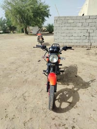 شاينك • ٢٠٢٦ • الحمزه الغربي