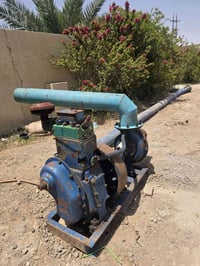 هندي شغال عالفحص بوري المذب اصلي مع صونده جديده ولف ٠٧٧٢٨٥٩١١٧٦
