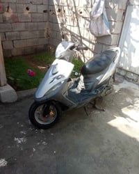 ماكس عدله • بوشه ٥٥ • بيها مجال