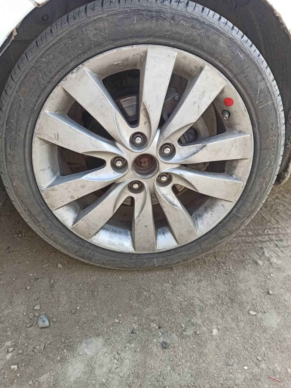 السلام عليكم
ويل كب حجم 16 عدد 3 اصلي مع واحد حجم 17 اصلي بس الشكل يختلف اريد اراوسهن بتخم ويل كب حجم 16 اصلي كون مرتب


**إذا كنت صاحب هذا الإعلان وتريد حذفه لأي سبب، رجاءا أرسل رسالة إلى الدعم الفني**