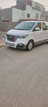 استاركس • ٢٠١٩ • الديوانية