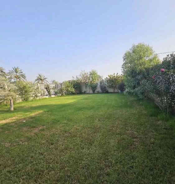 🏛️✨ شركة محمد للاستثمار العقاري ✨🏛️
📢 للبيع | فيلا ملكية بتصميم روماني فاخر في أبو الخصيب 📢

━━━━━━━━━━━━━━━━━━━

🔑 تفاصيل العقار:
📍 الموقع: أبو الخصيب – موقع مميز وهادئ
📐 المساحة: 1400 متر مربع
📑 الطابو: ملك صرف زراعي – بسم عراقي
🏗️ البناء: حديث – تصميم روماني ملكي فاخر

━━━━━━━━━━━━━━━━━━━

🏡 مواصفات الفيلا:
✨ صالة استقبال فخمة
✨ 6 غرف نوم واسعة
✨ مطبخ مجهز
✨ مجموعة صحيات متكاملة
✨ غرفة حراسة مستقلة
✨ مسبح خاص وحديقة خضراء
✨ كراج واسع للسيارات

━━━━━━━━━━━━━━━━━━━

💰 سعر البيع: 850 مليون دينار عراقي 💰
🔥 فرصة نادرة لاقتناء فيلا ملكية بتصميم فاخر ومرافق متكاملة

━━━━━━━━━━━━━━━━━━━

🌟 مميزات العقار:
✅ تصميم روماني ملكي يمنح الفخامة والتميز
✅ مساحة كبيرة مع حديقة ومسبح خاص
✅ موقع هادئ مثالي للسكن الراقي
✅ بناء حديث وتشطيب عالي الجودة

━━━━━━━━━━━━━━━━━━━

📞 للتواصل مع محمد للاستثمار العقاري:
📲 *********** – واتساب مباشر
📲 *********** – الدليل العقاري
📲 *********** – خدمة العملاء
📲 *********** – تنظيم العمل

🏢 مكاتبنا:
📍 الطويسة – شارع اللجنة الأولمبية – قرب عصير تايم 🧃
📍 مناوي باشا – مقابل مطعم محمد هاشم 🍽️

📲 تابعونا على إنستغرام وفيسبوك | @moh_comp_basra
✨ محمد للاستثمار العقاري – حيث يبدأ التميز 🏆

━━━━━━━━━━━━━━━━━━━

#محمد_للاستثمار_العقاري #فيلا_للبيع #ابو_الخصيب #Basra #Iraq #عقارات_البصرة #سكن_فاخر #فرصة_استثمارية
