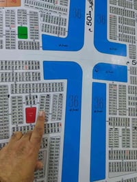 نص قطعة • الاكوات • النرجس الحديثة