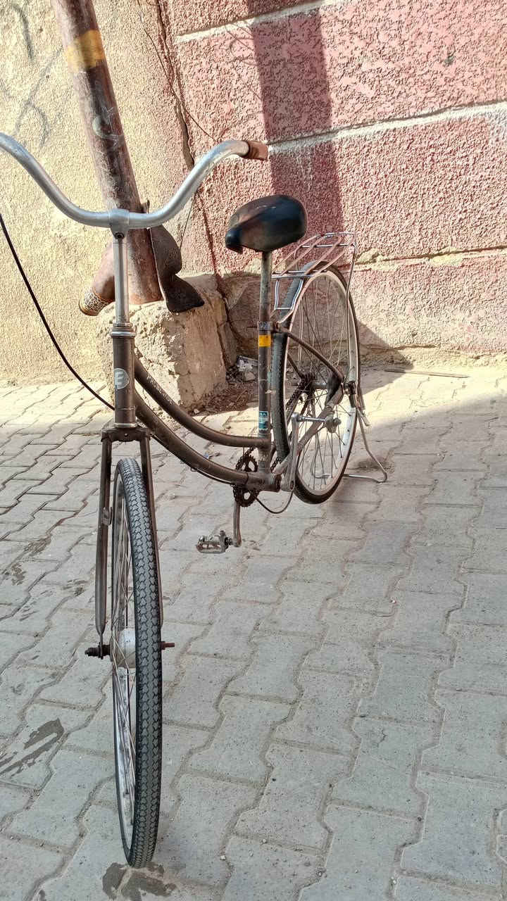 السلام عليكم بايسكل للبيع بناتي حجم 26 البايسكل نضيف معنة الكلمة مكان بغداد شعلة الصدرين سعر البايسكل مناسب 40 وبي مجال الي مو شراي لا يراسل متواجد مازنجر لاستفسار ***********❤️
