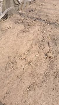 يالله قطعه للبيع المساحه ٤٧٠متر طابو صرف زراعي تباع نظام القطعتين ماكو...