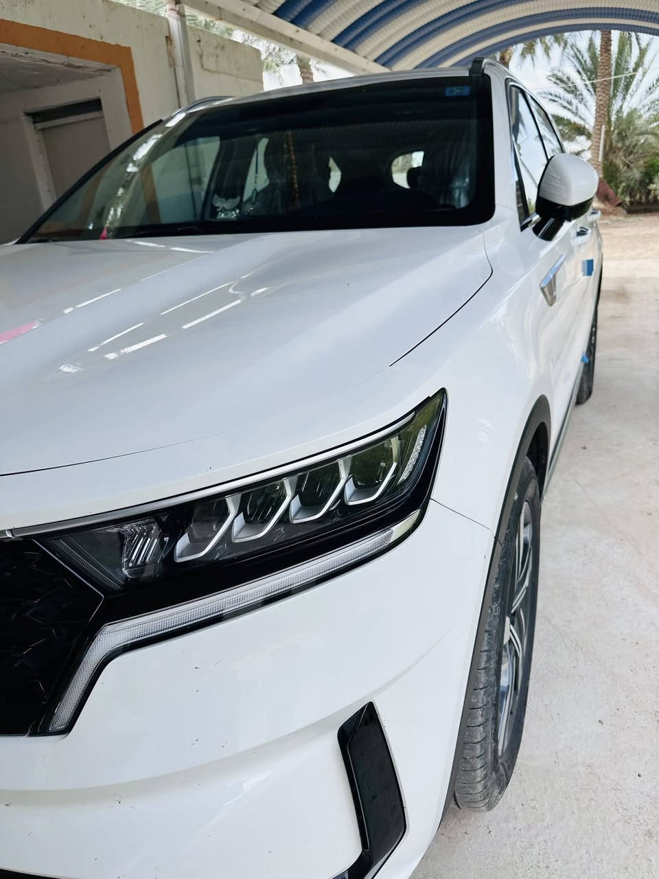 كيا سورنتو 2023 خليجي
السياره احلا من الصوره 

كفاله عامه من كل شىء 

بدون بنراما 

رقم بابل بأسمي مداور مباشر 

ماشيه 53الف فقط 

6سلندر 8كير 

 
كير ماوس 

هاندبريك بصمه

اوتو هولد

نضام منحدرات 

حساسات 360

كامرا خلفية 

جنطة كهرباء 

دشبول 7الوان

7 راكب

3 قطع تبريد

بردات خلفيه

انضمة قيادة

فول تحكم ستيرن وشفتات

شحن وايرلس 

شاشه ابل كار بلي

مرايات اوتو 

يدات كروم واضائه

وبقية المواصفات معروفه 

السيارة بوضع الشركة جديدة جداً 

 مكاني بابل الشوملي 

السعر315 بيه مجال بسيط 

 

***********استفسار اكثر
