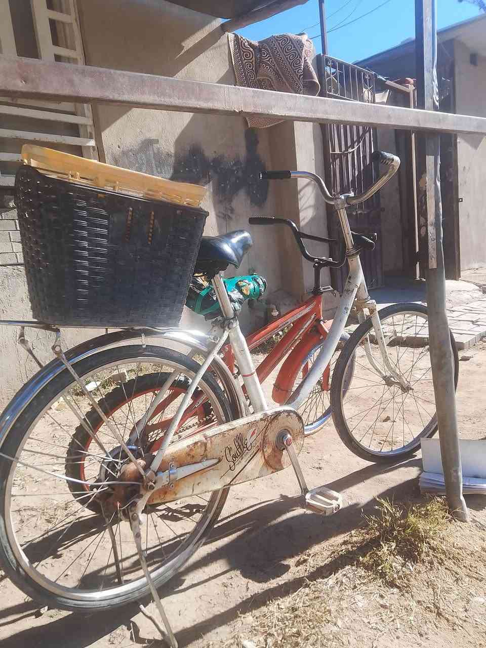 السلام عليكم 3بايسكلات للبيع الوان الأبيض حجم 24سعره 30قفل والون البرتقالي حجم 20سعره 15 والزرك حجم 26سعره 40مكاني كربلاء شهداء الملحق ***********
