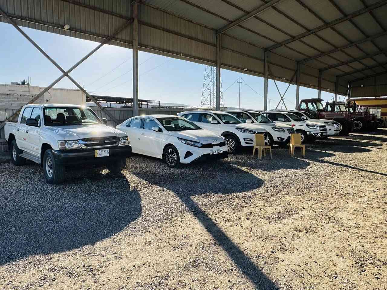 معرض رائد بجاي الشمري
واسط الزبيدية 
بيع أو مراوس 
حسين ***********
