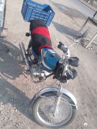 رشه • مجال بسيط • السده الهنديه