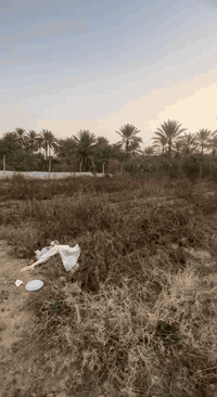 السلام عليكم ورحمه الله وبركاته قطعه ارض شاطيه مساحه ٩٥٠ متر واجه ١٨ متر نزال ٥٥ متر جنس الارض طابوا ملك صرف تحويل مباشر باسم المشتري  العنوان بغداد الراشديه منطقه الساده البوحيات الاستفسار اكثر ***********
