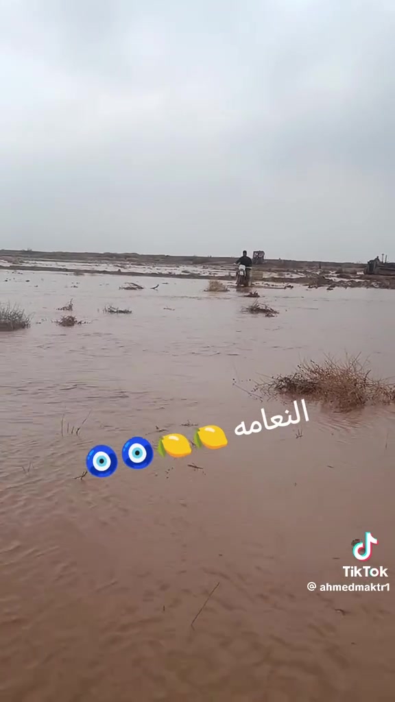 السلام عليكم ورحمة الله وبركاته
دراجه قفاز ياباني مرقم للبيع محرك 300cc دراجه ماعوزها شي السعر 1300وبي مجال اي استفاسار اتصل ***********
