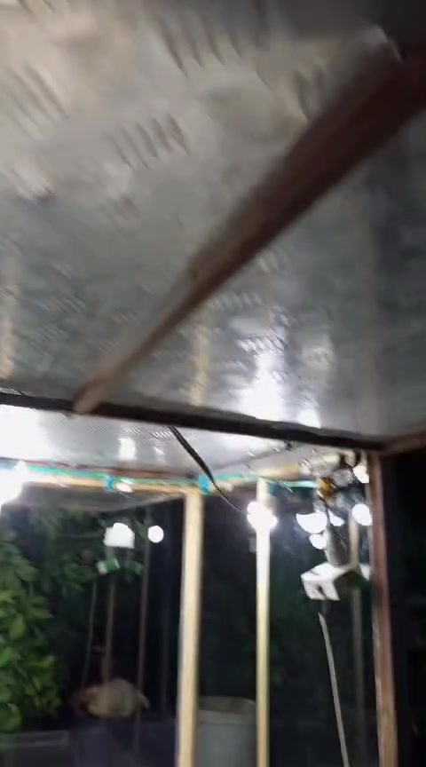 اسلام عليكم عربانه للبيع كلشي تكدر اتبيع بيه كامله مكمله مكانه ديالى بعقوبه بهرز السعر اتصل على الرقم التالي ***********
