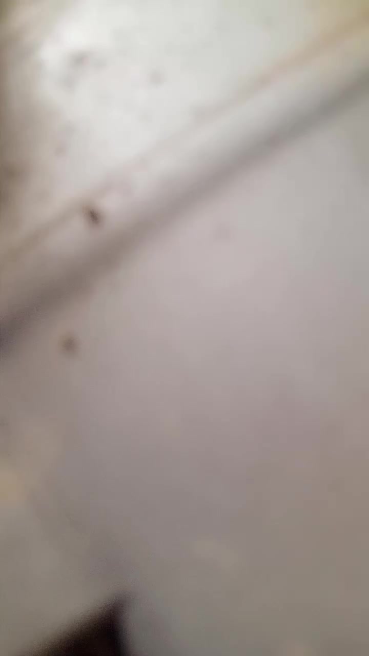 سلام عليكم درجه البيع السعر300 ***********
