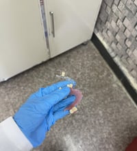 طقم اسنان • مجانا