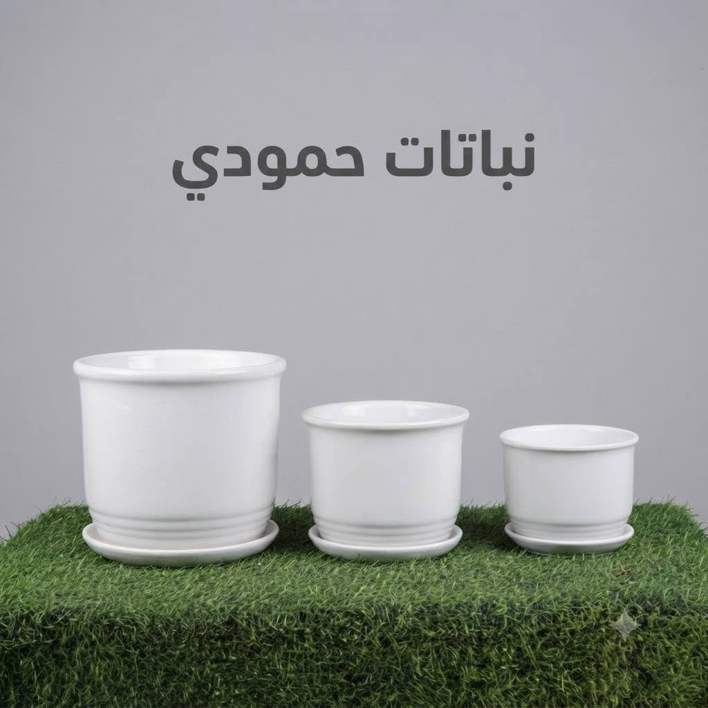 ✨🪴 متوفر الآن سنادين نوع 🪴✨

🌿 تشكيلة أنيقة وعصرية بألوان وتصاميم مميزة. 📏 متوفرة بثلاثة أحجام لتناسب جميع النباتات الداخلية والخارجية. 🏡 جودة عالية ولمسة راقية تضيف جمالاً لمنزلك أو حديقتك.

🌱 متوفرة حصريًا لدى نباتات حمودي 🌱

📲 للحجز والاستفسار: واتساب: ***********

💚 نباتات حمودي... كل ما تحتاجه لنباتاتك في مكان واحد. 🌿
