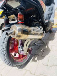 صالنصه • دبل • بوشه جبلي