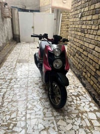 سكنس جبلي • كفاله عامه • حله