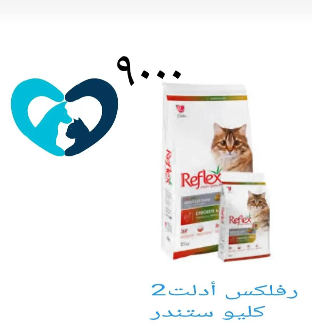 🐱🤍 كل احتياجات قطك بمكان واحد!

نوفر تشكيلة مميزة من مستلزمات القطط:
✨ أكل صحي
✨ رمل ممتاز
✨ ألعاب ودلال
✨ عناية وتنظيف

أسعار مناسبة وجودة تريحك وتريح قطك 🐾
🚚 توصيل سريع لكل المحافظات

لا تفوتون العروض 🔥
📩 راسلونا خاص والطلب يوصل لباب البيت

#cat #قطط #مستلزمات_حيوانات #قطط_لطيفةcatshop


**إذا كنت صاحب هذا الإعلان وتريد حذفه لأي سبب، رجاءا أرسل رسالة إلى الدعم الفني**