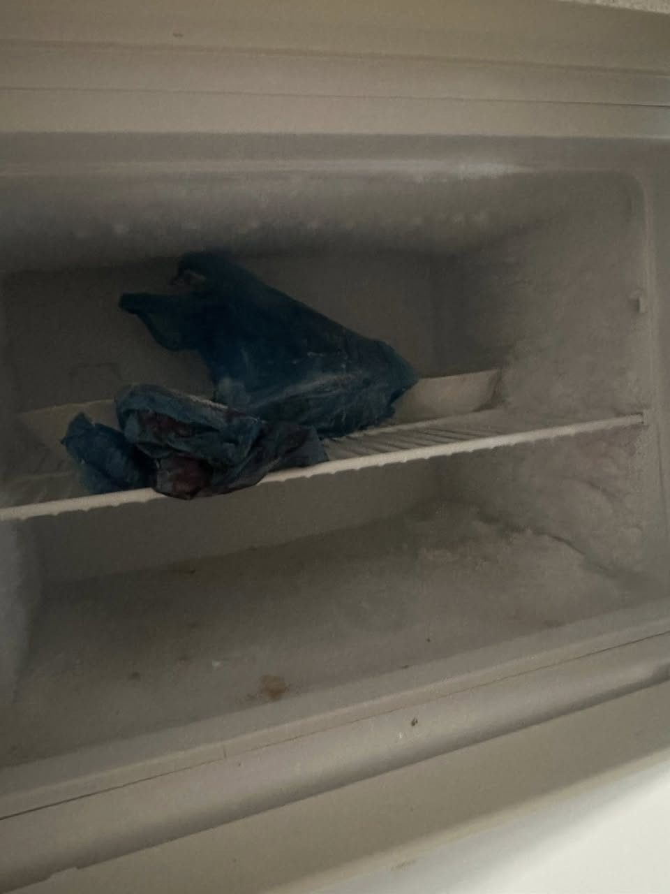 ال بيع  ***********🖤
