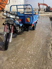 ستوته 2020 • مكفولة • كوت بالحكيم