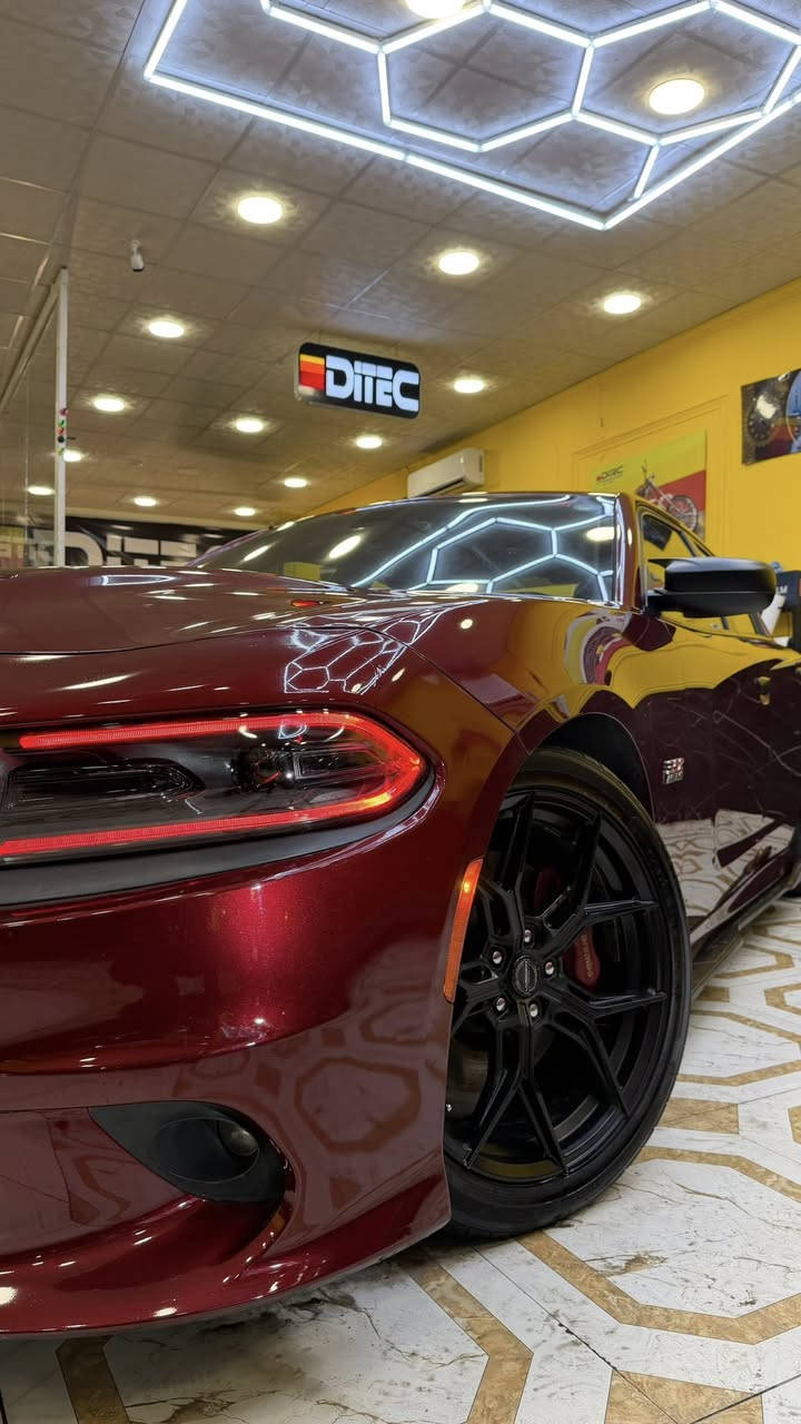 تشارجر سكات باك مديل 2020 حادث جاملق وباب خلفي بدون دواخل و جاملق امامي سرقه وراجع نفسه بدون اي حادث ايرباك دشبول راجع سستم. 

البجم كبس سياره مكينة وكير مكفولات وجدا نظيفه ونصبتها رهيبة. 

السياره ربع ماتصوف عليهه حتى طخم تايرات وويلات جديدات والحداده جديده. 

السياره ستوك ع وضع الوكاله فقط اويل كاش كان مخليلها ماملعوب بيهه. 

رقم اربيل باسمي السيارة وماكنها البصرة

السعر 240 ورقة


**إذا كنت صاحب هذا الإعلان وتريد حذفه لأي سبب، رجاءا أرسل رسالة إلى الدعم الفني**