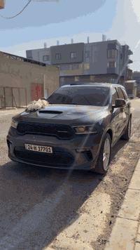 دورنكو ار تي ٢٠٢١ للبيع فقط
السلام عليكم، التفاصيل كاملة مذكورة للجميع والنقوصات محسوبة بالسعر 
دوج دورنكو ار تي ٢٠٢١ 
محرك ٨ سلندر ٥٧٠٠ گير ٨ سرعات  
سبعة راكب كشنات جلد ومخمل تدفئة كشنات وستيرن 
والسايق ميموري وضعيتين ، 
فتحة سقف وشاشة جبيرة وشحن لاسلكي  
 ماشية ٨٥ الف كيلو متر 
السيارة نظيفة داخلة كلين تايتل 
هنا بالعراق حادثها تبديل باب خلف الصدر بدون ايرباك السيارة كل ايرباكاتها سليمة  
وبيها مكانات طخات بارد موضحة بالصور وطخة بخشم البنيد مامصلحة وهم موضحها  
السيارة نظيفة وحلوة ومابيها اي خلل 
نقصها اشارات اللدات الامامية عاطلة، والسلايد تبديل بلاستك ودبل امامي بي صوت خفيف 
مكانها النجف الاشرف 
السعر ٣٠٥ ورقة وبيها مجال  
صور الضربة والبارد قبل التصليح عالواتساب 
***********
