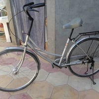 بسكليت • السماوه • ال معالي