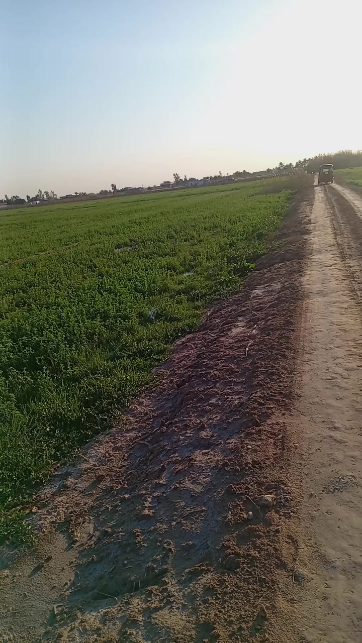 بغداد خلف الجسر الفرنسي قريت العوادل بشارع المدرسة ***********
