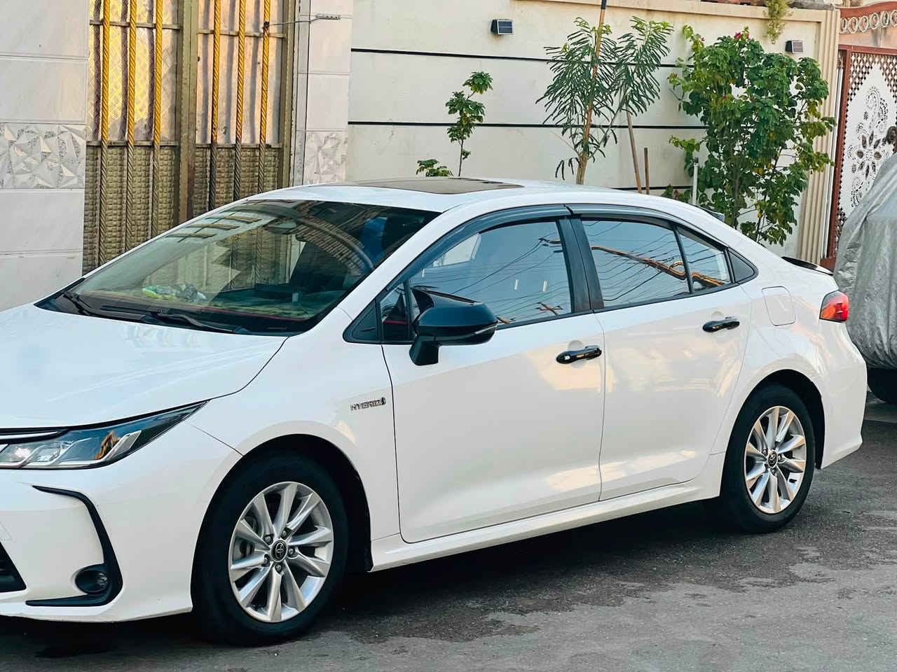 السلام عليكم
كورلا 2024   

خليجي هايبرد   

علامة زرقاء المرغوبة 

سيارة بيهه قطعه وحده مبدله بلاديه

بدون دواخل   

رقم بغداد  تحويل مباشر 

سيارة جديدة بمعنى الكلمة 

محرك 1800 هايبرد HEV  

ماشية ٥٥ الف حقيقي 

شحن ذاتي 

بصمه + دخول ذكي 

هاندر بريك بصمه + اوتو هولد 

سلايت 

رادار امامي 

سياقه اليه 

تبريد قطعتين 

شاشه ابل كار بلي و اندرويد + كامره خلفيه 

مانع نزلاق + مود درايف +  ايكو مود 

كيجات شاشه دجتل 

مقاعد جلد  لون اسود واحمر 

حساس لايت كامل اوتو عالي ناصي اوتو + حساس ظغط اطار 

تحكم سترين كامل فول 

لايت زينون + لد نهاري + اشاره لد 

اشاير مري  

وبعد بيها هواي مواصفات 

 مكاني السيارة بغداد 

سعر 140وبيها مجال 

للاستفسار ‭***********
