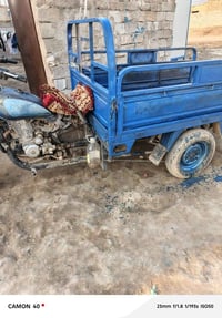 ستوته • مكفولة • الديوانية الشافعية