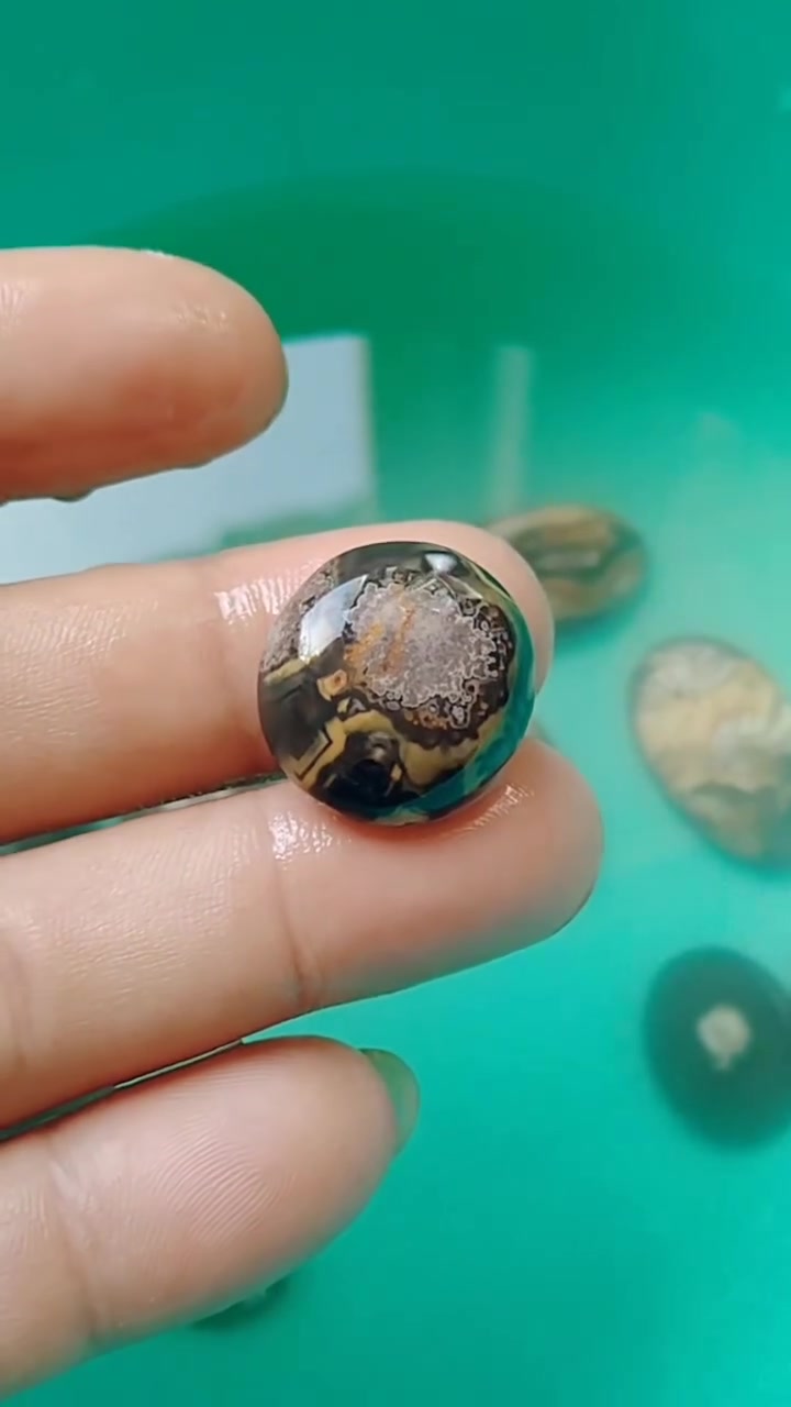 polkas cincin bahan karang nunggal


**إذا كنت صاحب هذا الإعلان وتريد حذفه لأي سبب، رجاءا أرسل رسالة إلى الدعم الفني**