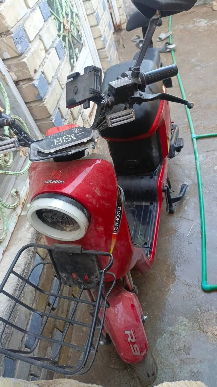 درجه شحن


**إذا كنت صاحب هذا الإعلان وتريد حذفه لأي سبب، رجاءا أرسل رسالة إلى الدعم الفني**