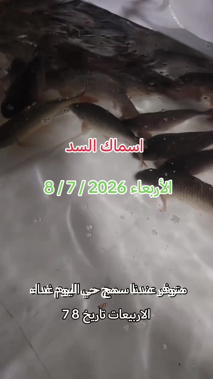 سمج حي فول ومكفول رقم واحد وبعرض خاص وبلاش الكيلو ب ٥٥٠٠ فقط ليوم غدا الأربعاء


**إذا كنت صاحب هذا الإعلان وتريد حذفه لأي سبب، رجاءا أرسل رسالة إلى الدعم الفني**