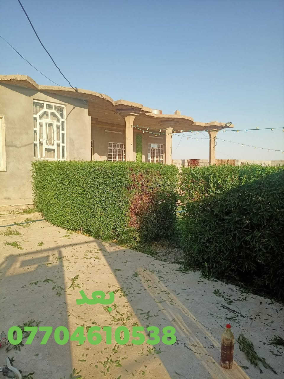 شغل اليوم تقليم اس نينيه تكرب نخل 
اتصل، ***********
